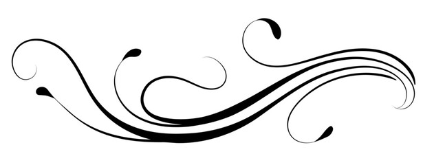 Wave floral ornament with leaves and abstract lines. Text divider. Decorative element for decor and text greeting or invitation card design. © Marisha