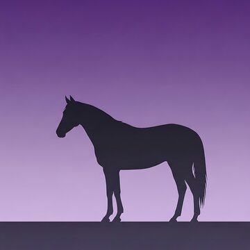 Horse Silhouette Against Purple Sunset.