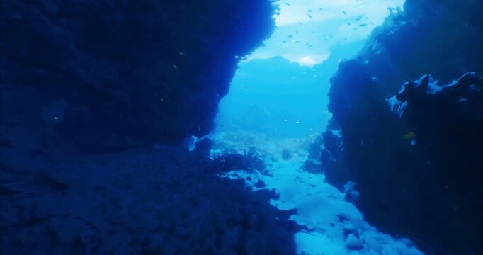 A breathtaking underwater landscape reveals vibrant marine life and soft sunlight filtering through rocky formations. The clarity of the water enhances the feeling of serenity in this oceanic realm.