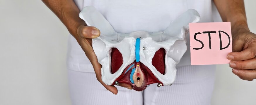 Understanding the anatomy of the pelvis while discussing sexually transmitted diseases