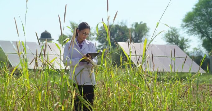 Indian young adult gen z female hold tab look screen visit farm field do work search record data at rural area serious staff girl wear white lab coat use tablet device check plant quality ground place