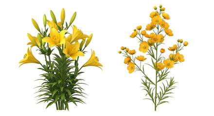 Yellow lilies and small yellow flowers on black background © ABIR-STOCK