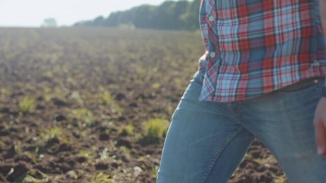 Farmer planning field, Man surveys farmland for planting, Farmer examines soil and prepares for crops