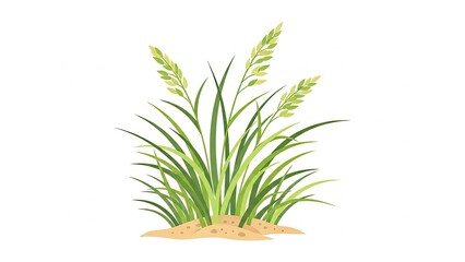 Obraz premium Cartoon Style Wheat Plant Illustration Against White Background.jpg