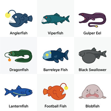 Deep Sea Fish Illustrations.