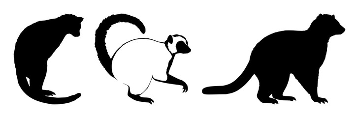 Obraz premium Lemur silhouette set with simple line art design featuring line art, illustrations, graphic resources with vector and design elements