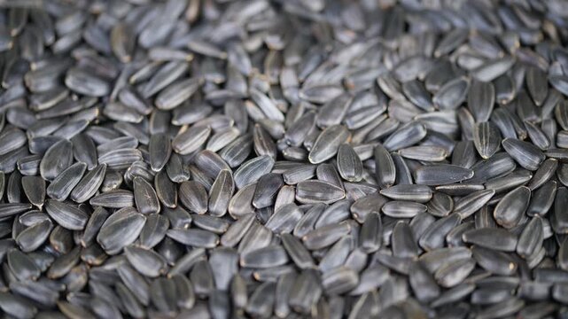 Closeup of sunflower seeds with textured shells and soft illumination. Highdefinition macro image capturing detailed sunflower seed shells and overall layered composition
