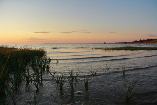 Gentle waves and marsh grass along Cape Cod Bay at sunset in Eas