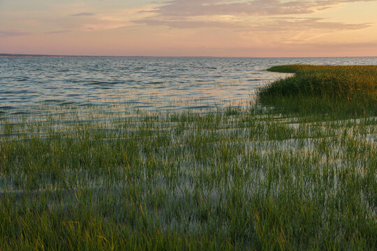 Salt marsh shoreline along Cape Cod Bay at sunset in Eastham Mas