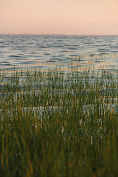 Cape Cod bay marsh grass at sunset in Eastham Massachusetts