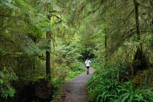 Woman walking in Pacific Northwest rain forest