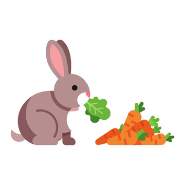 Cute Bunny Eating Carrots.