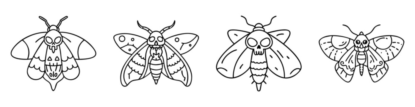 Four whimsical line art moth illustrations with skull faces and decorated wings