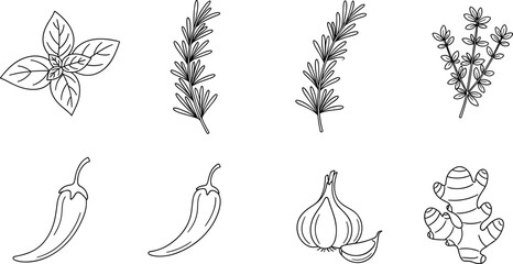 Herbs and spices outline vector set with basil rosemary thyme chili garlic and ginger line art collection © Danial