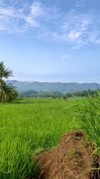 timelapse of moving clouds over a scenic horizon. Cilacap, Indonesia.