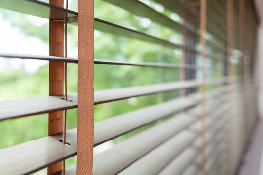 Wooden blinds frame soft, blurred greenery outside.