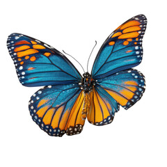 Obraz premium Bright blue and orange butterfly resting on a flat surface during daylight hours on transparent background