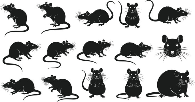 Rat And Mouse Silhouette Set Featuring Various Poses Like Sitting Standing And Profile Views For Rodent Pest Control Wildlife Nature And Chinese Zodiac Designs