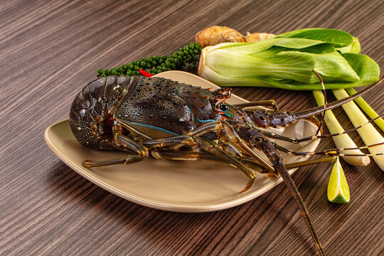 Raw fresh lobster for bowl