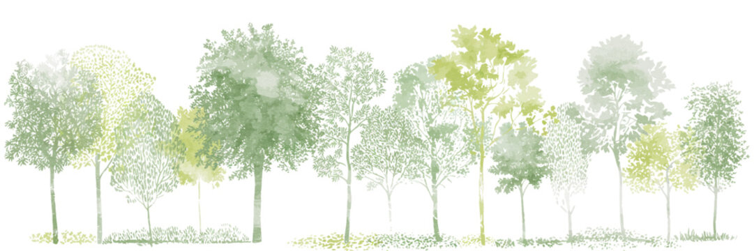 Architectural CAD Tree Line Drawing Set, Minimal Style Wildlife Forest Section Outline Symbols in Side View, Landscape Design Elements, White Stroke and Fill Vector Illustration with Separate Elements