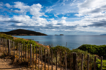 Obraz premium Coastal View with Wooden Fence and Bay