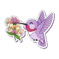 Fototapeta premium Purple hummingbird sipping nectar from flowers