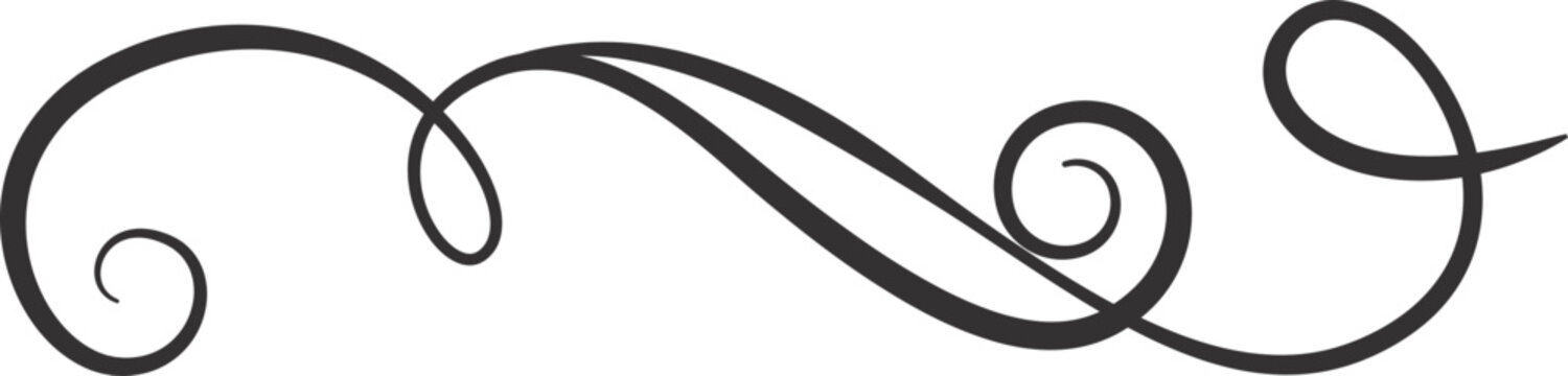 Decorative divider element. Border florish element. Vector design.