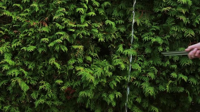 wasser trennen strahl natur