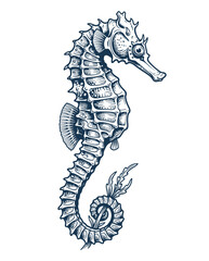 Fototapeta premium Hand Drawn Seahorse Marine Life Engraving Vector Illustration
