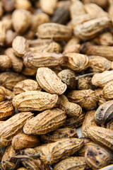 Fototapeta premium The peanut also known as the groundnuts. Close up of raw unpeeled peanuts are being dried in the sun