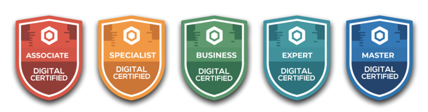 Certified badge shield logo illustration, colorful vector set for training certificates, security approval labels, and professional accreditation branding design.