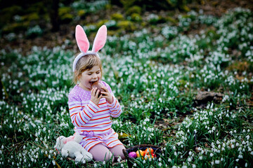 Little girl with Easter bunny ears making egg hunt in spring forest on sunny day, outdoors. Cute...