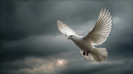 Obraz premium White dove flying in cloudy sky.