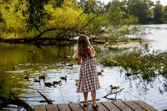 Little elementary school girl feeding wild ducks on a pond. Cute child enjoying nature and animals outdoors in summer, happy kid with eye glasses spending time near water.