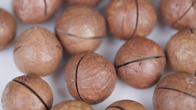 Pattern of macadamia shells with natural imperfections and matte finish. Studio shot showcasing macadamia nuts in shells with detailed surface textures and subtle sheen
