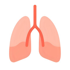 Fototapeta premium The lungs and trachea are depicted in a medical illustration with a focus on human anatomy and respiratory system.