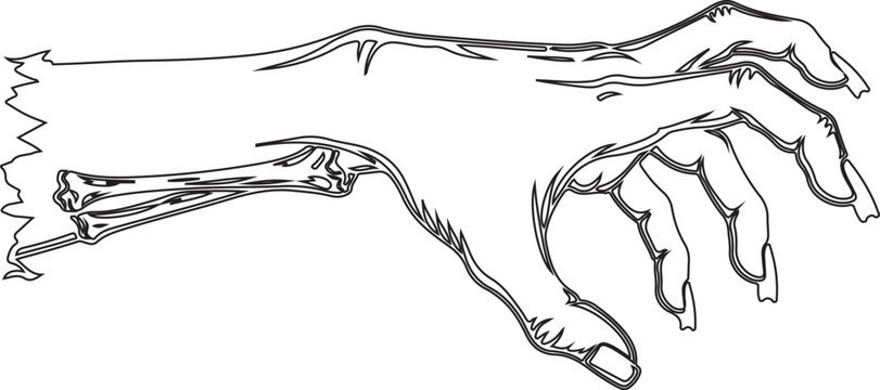 Reaching hands, human skeleton, line art, black and white vector illustration, anatomy, medical, educational