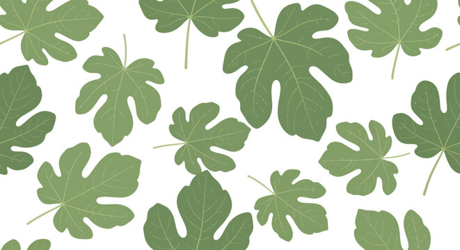 Seamless Pattern of Green Fig Leaves on White Background, Botanical Illustration