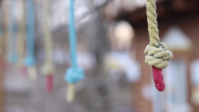 A row of vertically hanging strong ropes with securely tied knots at the ends. Fragment of a rope park. The end of the rope is wrapped with light protective tape. Selective focus
