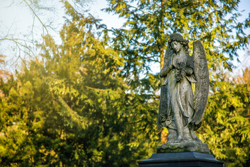 Obraz premium Praying Angel Statue In Sunny Garden