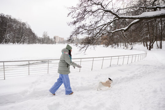 Person walking dog in snowy winter park wearing warm clothing