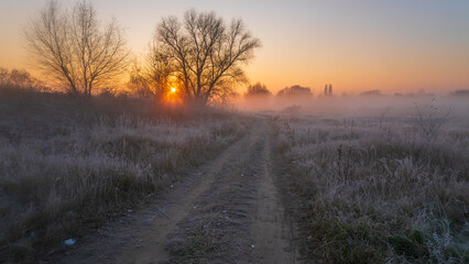 Fototapeta premium autumn sunrise in the fog around village