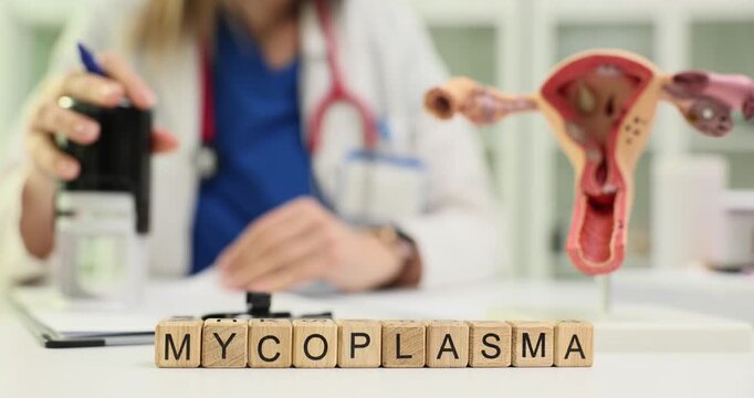 Wooden blocks spell word Mycoplasma near gynecology model and stamp pad. Clinician woman presses stamp checking uterus model for test result