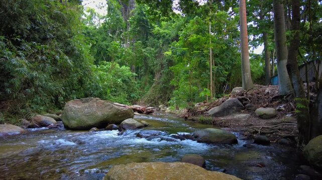 A serene, peaceful view of the river in the town of Choroni, set amid lush, green natural surroundings in Aragua, Venezuela