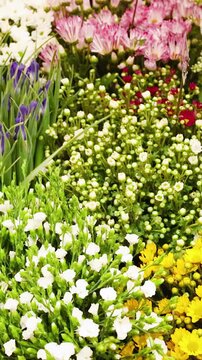 Vibrant Floral Display at a Traditional Japanese Flower Market in Osaka