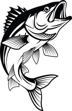 Large Mouth Bass Graphic Design for Fishing Logo Illustration art