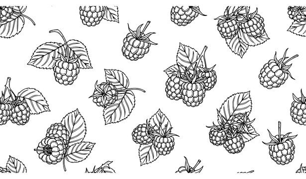Hand drawn raspberry leaf seamless pattern black white linear fruit vector for kitchen and packaging design