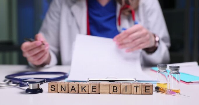 Wooden blocks spell words Snake Bite near antivenom vials and stethoscope. Doctor records symptoms preparing injection after patient venom exposure
