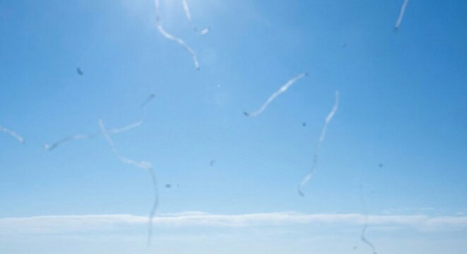 Visual simulation of eye floaters against bright blue sky