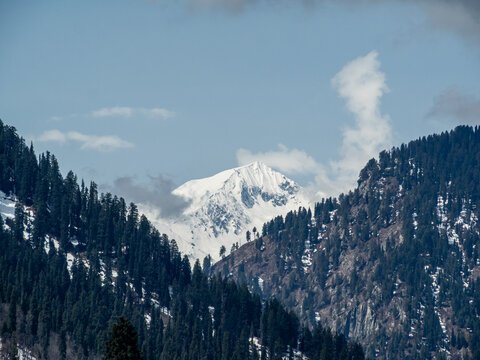View of snow-capped peaks pierce the sky, framed by dense, dark green forests, creating a dramatic contrast of textures and tones, Arang Kel, Azad Kashmir, Pakistan.